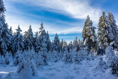 Oberhof yakınlarındaki Thuringian Ormanı 'nın tepelerinde güzel bir kış manzarası.