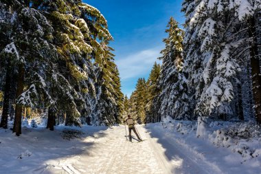 Oberhof yakınlarındaki Thuringian Ormanı 'nın tepelerinde güzel bir kış manzarası.