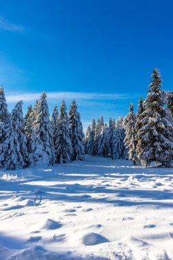 Oberhof yakınlarındaki Thuringian Ormanı 'nın tepelerinde güzel bir kış manzarası.