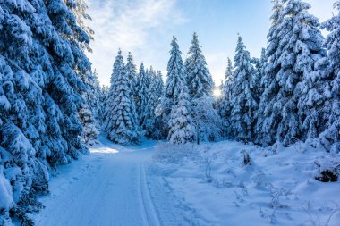Oberhof yakınlarındaki Thuringian Ormanı 'nın tepelerinde güzel bir kış manzarası.