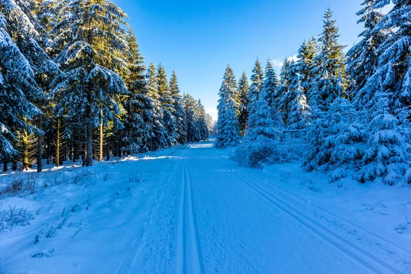 Peisaj Frumos Iarnă Înălțimile Pădurii Turingiene Lângă Oberhof Turingia — Fotografie, imagine de stoc