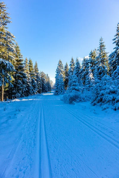 Peisaj Frumos Iarnă Înălțimile Pădurii Turingiene Lângă Oberhof Turingia — Fotografie, imagine de stoc
