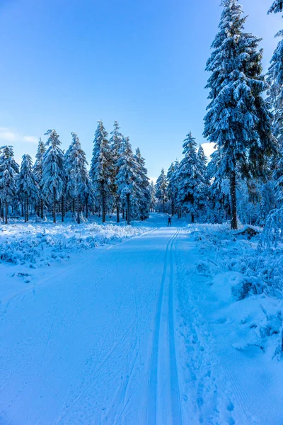 Beautiful Winter Landscape Heights Thuringian Forest Oberhof Thuringia — Stock Photo, Image