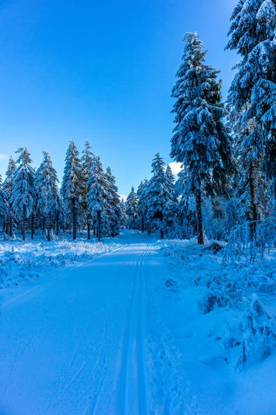 Schöne Winterlandschaft Auf Den Höhen Des Thüringer Waldes Bei Oberhof — Stockfoto