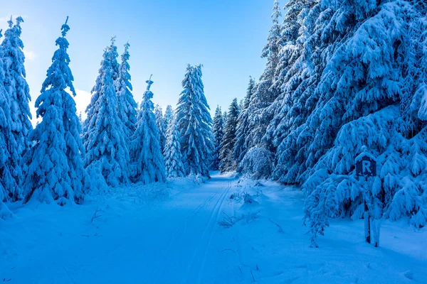 Schöne Winterlandschaft Auf Den Höhen Des Thüringer Waldes Bei Oberhof — Stockfoto