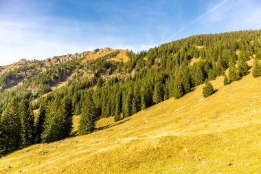 Oberstdorf-Bavyera yakınlarındaki Allgu 'da küçük bir sonbahar yürüyüşü - Almanya