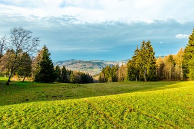 Zella-Mehlis yakınlarındaki Thuringian Ormanı 'ndaki Ruppberg' e yürüyüş - Almanya