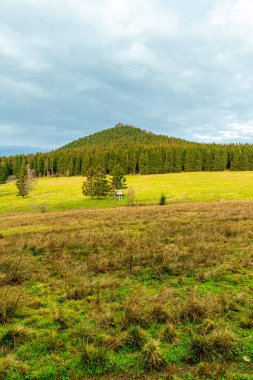 Zella-Mehlis yakınlarındaki Thuringian Ormanı 'ndaki Ruppberg' e yürüyüş - Almanya