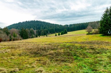 Zella-Mehlis yakınlarındaki Thuringian Ormanı 'ndaki Ruppberg' e yürüyüş - Almanya