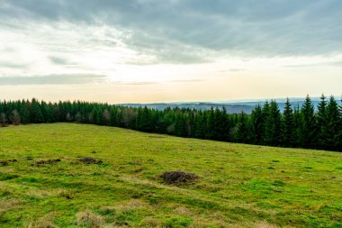 Zella-Mehlis yakınlarındaki Thuringian Ormanı 'ndaki Ruppberg' e yürüyüş - Almanya