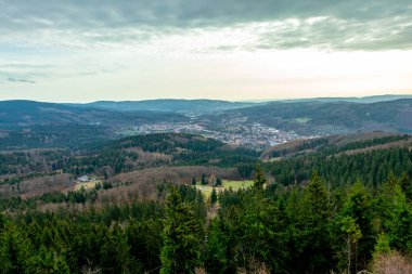 Zella-Mehlis yakınlarındaki Thuringian Ormanı 'ndaki Ruppberg' e yürüyüş - Almanya