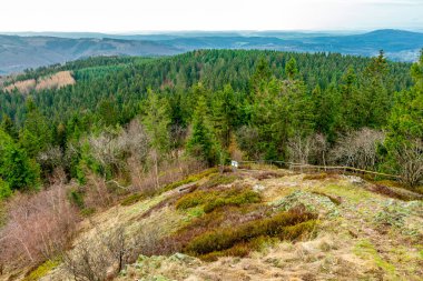 Zella-Mehlis yakınlarındaki Thuringian Ormanı 'ndaki Ruppberg' e yürüyüş - Almanya