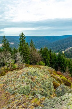Zella-Mehlis yakınlarındaki Thuringian Ormanı 'ndaki Ruppberg' e yürüyüş - Almanya