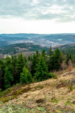 Zella-Mehlis yakınlarındaki Thuringian Ormanı 'ndaki Ruppberg' e yürüyüş - Almanya
