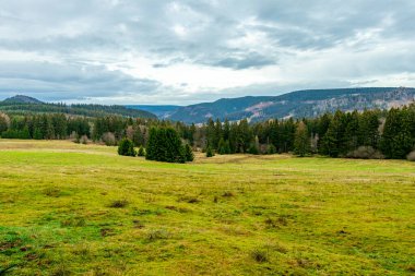 Zella-Mehlis yakınlarındaki Thuringian Ormanı 'ndaki Ruppberg' e yürüyüş - Almanya
