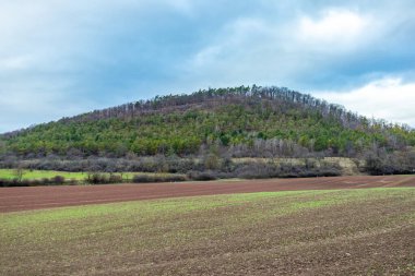 Thüringen Havzası 'ndaki güzel Drei Gleichen' in etrafında kısa bir yürüyüş - Drei Gleichen - Almanya