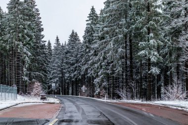 A touch of winter on the heights of the Thuringian Forest near Floh-Seligenthal - Thuringia
