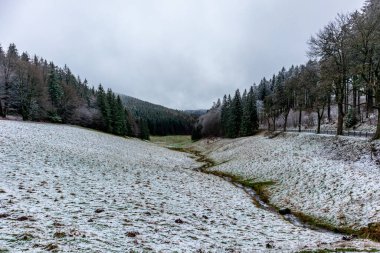 A touch of winter on the heights of the Thuringian Forest near Floh-Seligenthal - Thuringia