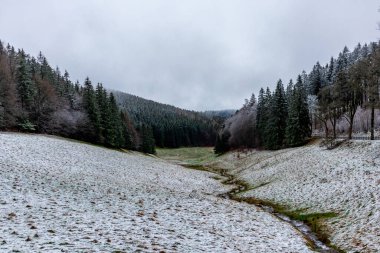 A touch of winter on the heights of the Thuringian Forest near Floh-Seligenthal - Thuringia