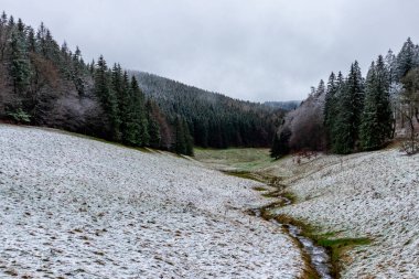 A touch of winter on the heights of the Thuringian Forest near Floh-Seligenthal - Thuringia