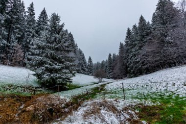 A touch of winter on the heights of the Thuringian Forest near Floh-Seligenthal - Thuringia