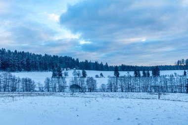 Beautiful winter landscape on the heights of the Thuringian Forest near Oberhof - Thuringia - Germany