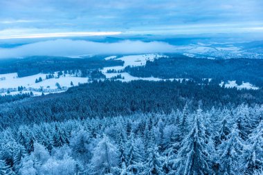 Beautiful winter landscape on the heights of the Thuringian Forest near Oberhof - Thuringia - Germany