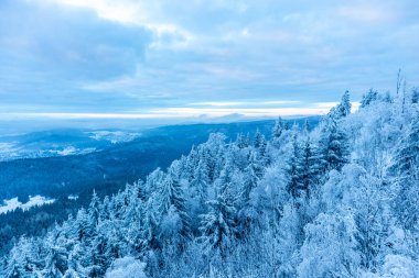 Beautiful winter landscape on the heights of the Thuringian Forest near Oberhof - Thuringia - Germany
