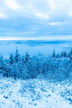 Beautiful winter landscape on the heights of the Thuringian Forest near Oberhof - Thuringia - Germany