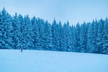 Beautiful winter landscape on the heights of the Thuringian Forest near Oberhof - Thuringia - Germany