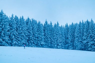 Beautiful winter landscape on the heights of the Thuringian Forest near Oberhof - Thuringia - Germany