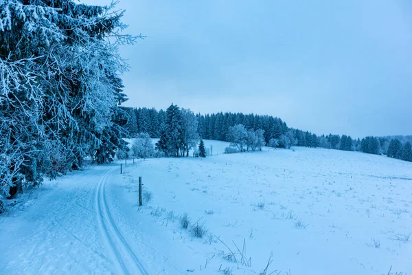 Beautiful Winter Landscape Heights Thuringian Forest Oberhof Thuringia Germany — Φωτογραφία Αρχείου