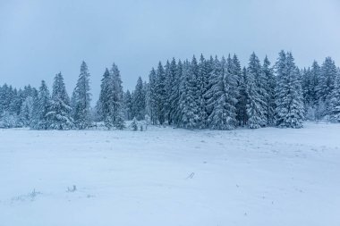 Beautiful winter landscape on the heights of the Thuringian Forest near Oberhof - Thuringia - Germany