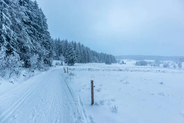 Beautiful Winter Landscape Heights Thuringian Forest Oberhof Thuringia Germany — Φωτογραφία Αρχείου