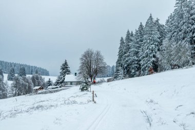 Beautiful winter landscape on the heights of the Thuringian Forest near Oberhof - Thuringia - Germany