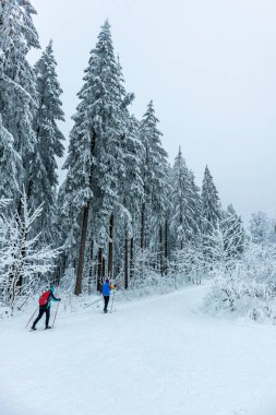 Beautiful winter landscape on the heights of the Thuringian Forest near Oberhof - Thuringia - Germany
