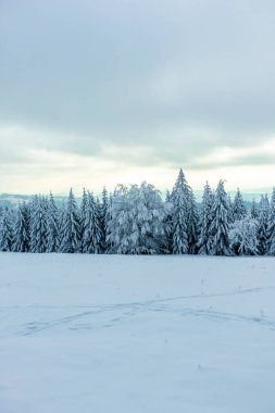 Beautiful winter landscape on the heights of the Thuringian Forest near Oberhof - Thuringia - Germany