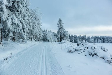 Beautiful winter landscape on the heights of the Thuringian Forest near Oberhof - Thuringia - Germany