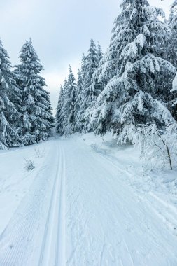 Beautiful winter landscape on the heights of the Thuringian Forest near Oberhof - Thuringia - Germany