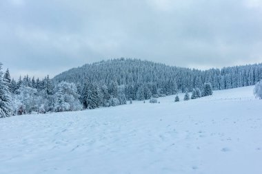 Beautiful winter landscape on the heights of the Thuringian Forest near Oberhof - Thuringia - Germany
