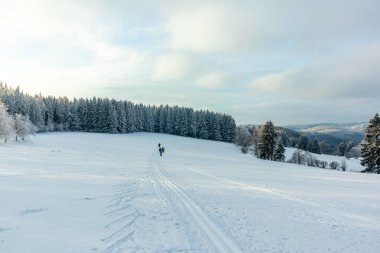 Beautiful winter landscape on the heights of the Thuringian Forest near Oberhof - Thuringia - Germany