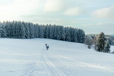 Beautiful winter landscape on the heights of the Thuringian Forest near Oberhof - Thuringia - Germany