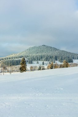 Beautiful winter landscape on the heights of the Thuringian Forest near Oberhof - Thuringia - Germany