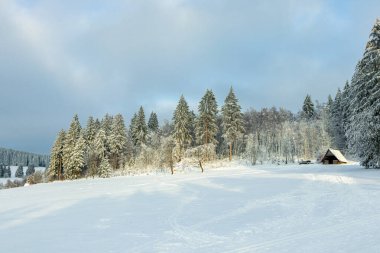 Beautiful winter landscape on the heights of the Thuringian Forest near Oberhof - Thuringia - Germany
