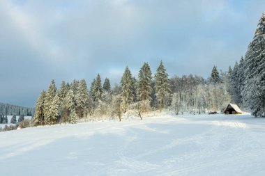 Beautiful winter landscape on the heights of the Thuringian Forest near Oberhof - Thuringia - Germany clipart