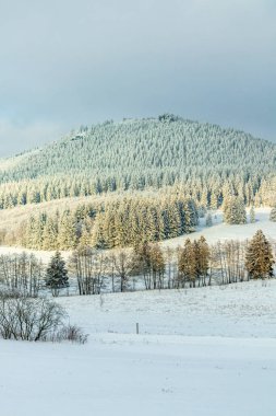 Beautiful winter landscape on the heights of the Thuringian Forest near Oberhof - Thuringia - Germany