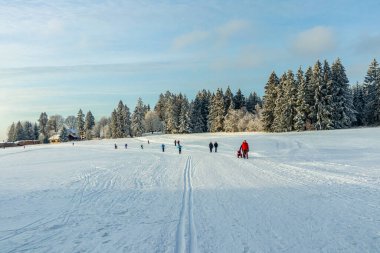 Beautiful winter landscape on the heights of the Thuringian Forest near Oberhof - Thuringia - Germany