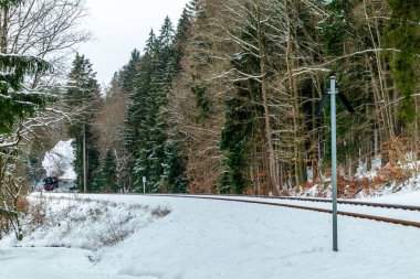 On the way with the special train Rodelblitz in the Thuringian Forest near Schmalkalden - Thuringia - Germany