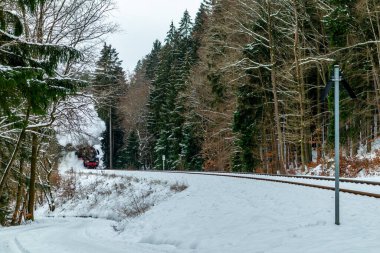 On the way with the special train Rodelblitz in the Thuringian Forest near Schmalkalden - Thuringia - Germany
