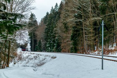 On the way with the special train Rodelblitz in the Thuringian Forest near Schmalkalden - Thuringia - Germany